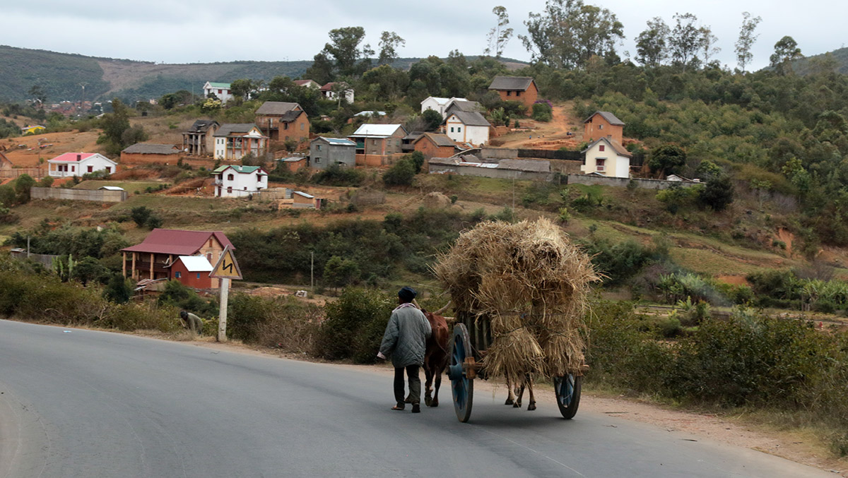 Madagascar - countrylife