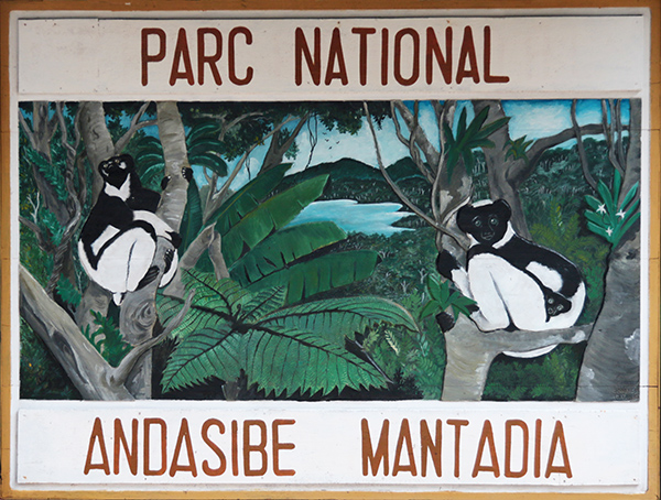 Mantadia NP - Madagascar
