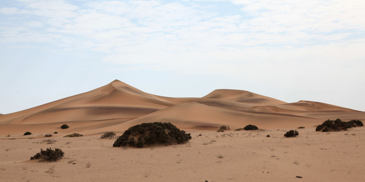 Dorob Desert