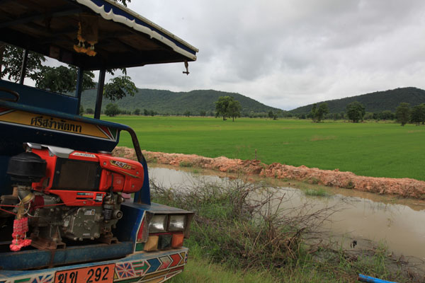Rijstvelden op weg naar Chiang Mai