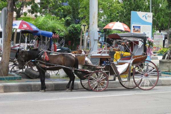 Paard en wagen in Lampang