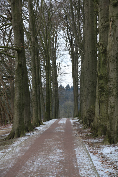 Laantje bij Nationaal Park Veluwe Zoom