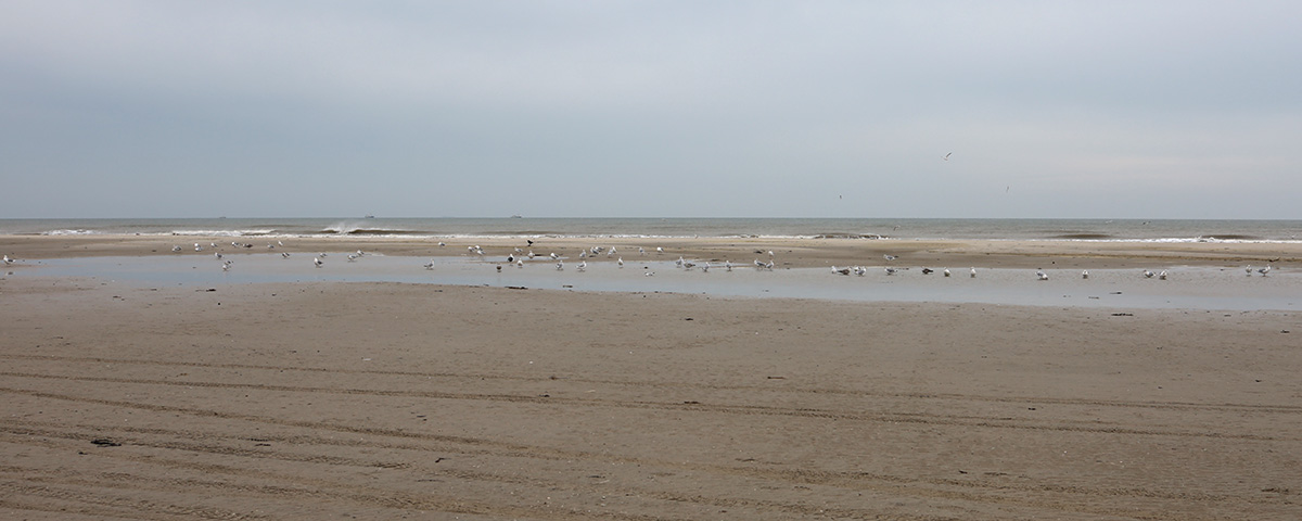 Terschelling 2020. Midweek vakantie Hans en Gina Mom