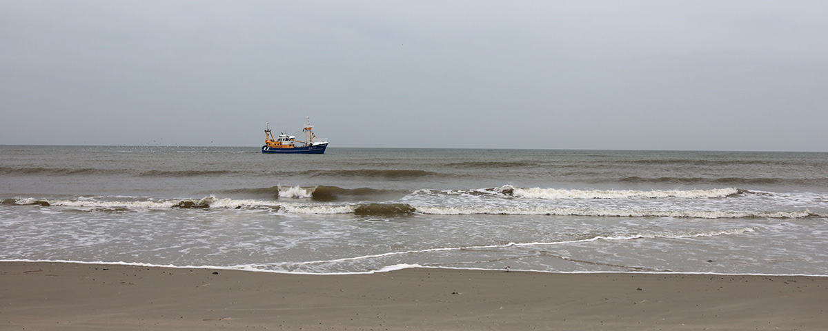 Terschelling 2020. Midweek vakantie Hans en Gina Mom