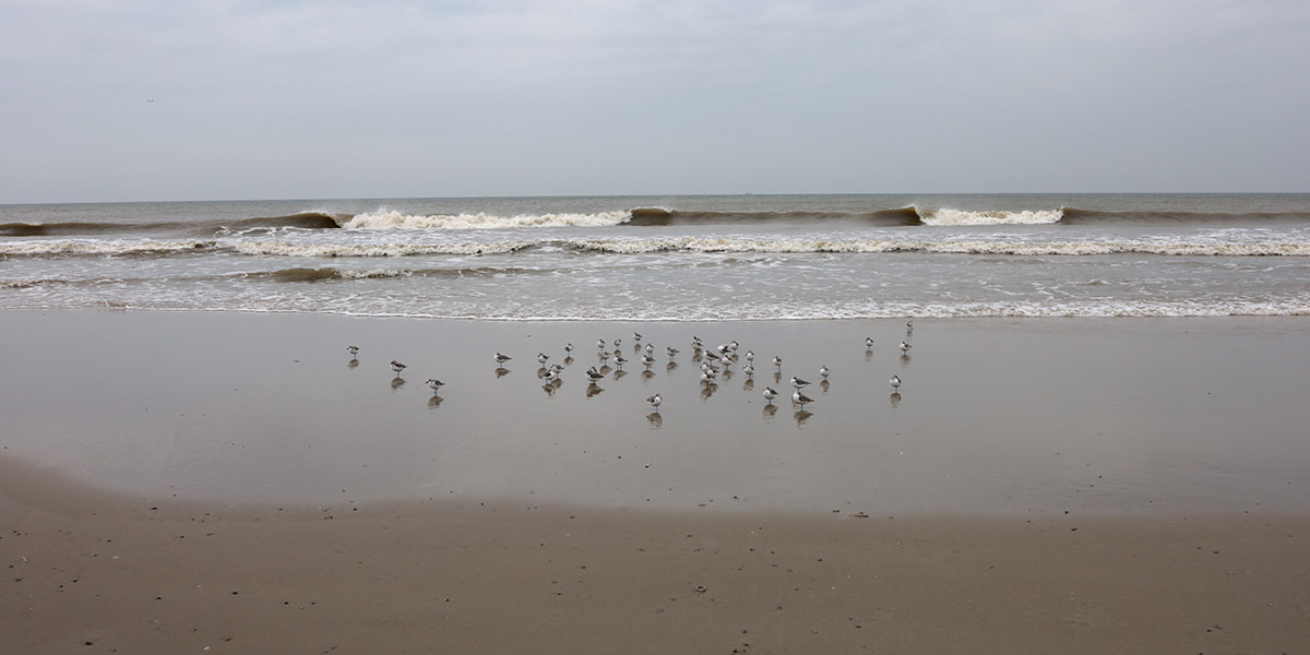 Terschelling 2020. Midweek vakantie Hans en Gina Mom