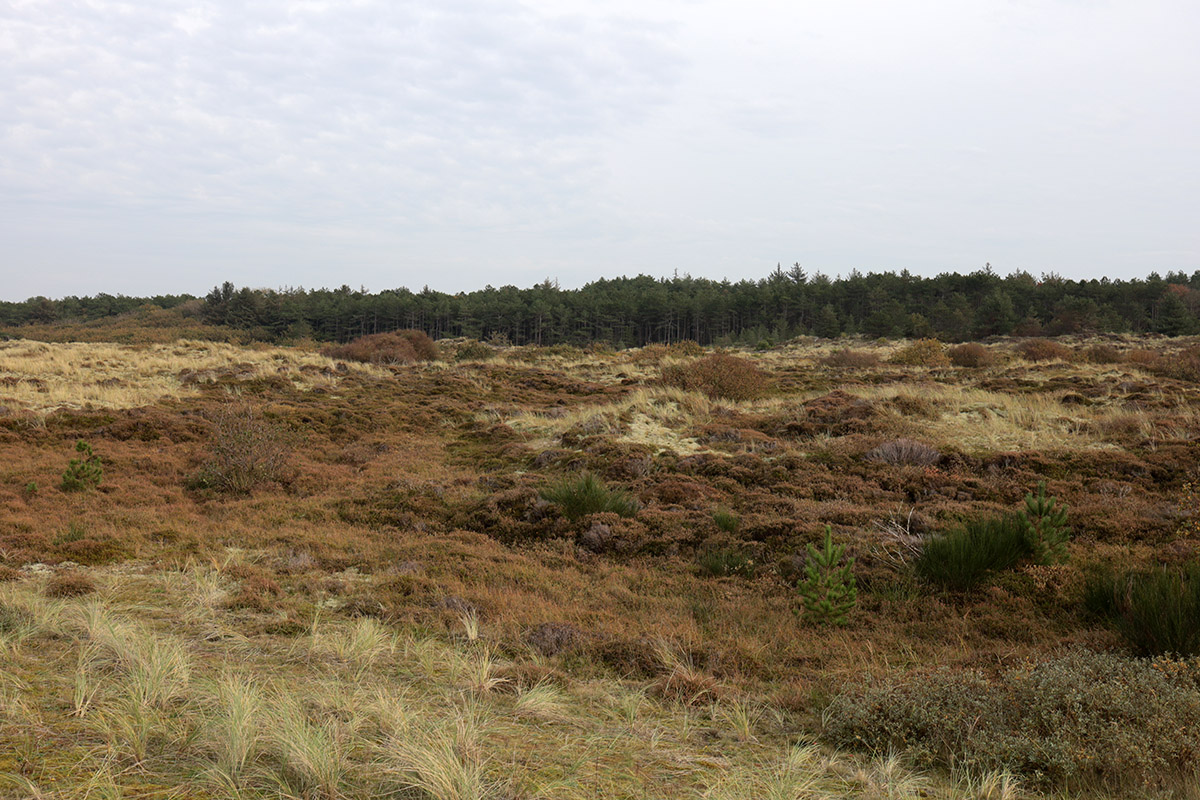 Terschelling 2020. Midweek vakantie Hans en Gina Mom