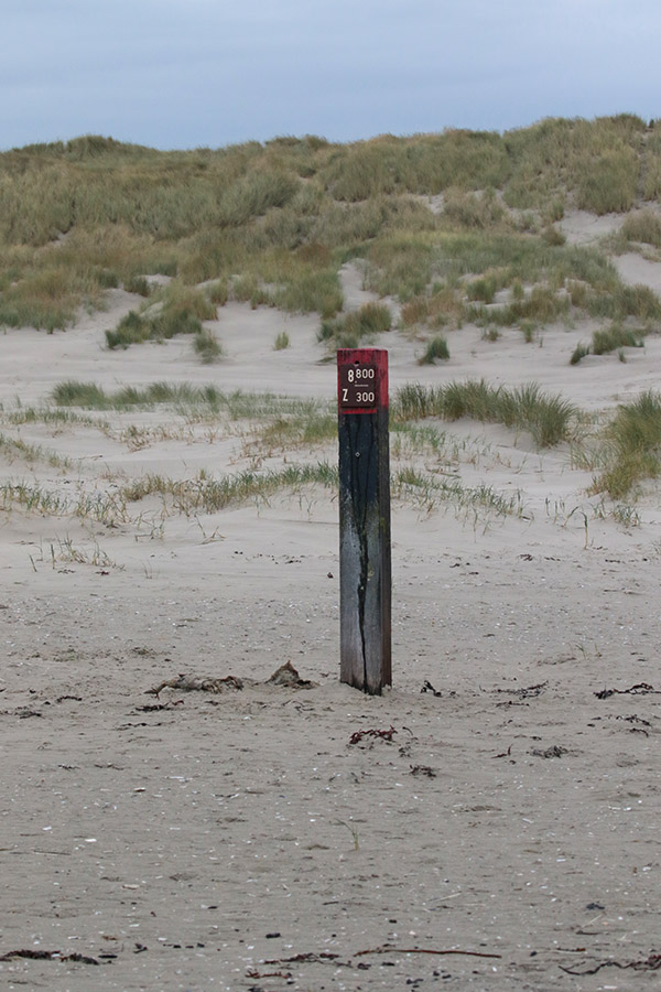 Terschelling 2020. Midweek vakantie Hans en Gina Mom