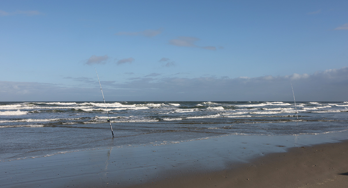 Terschelling 2020. Midweek vakantie Hans en Gina Mom