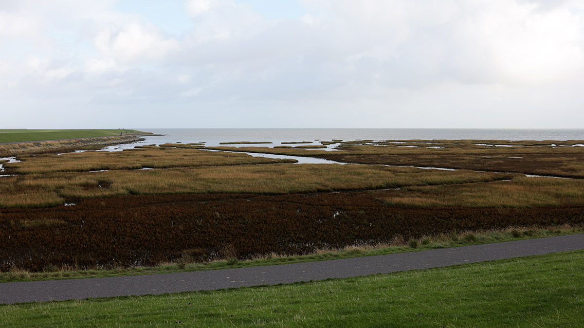 Terschelling 2020. Midweek vakantie Hans en Gina Mom