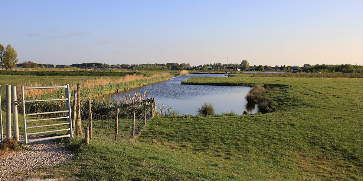 Waalbos - Ridderkerk - wijk Rijssord