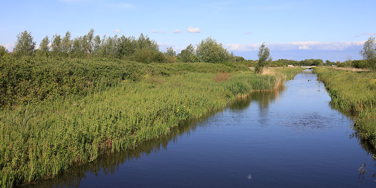 Waalbos - Ridderkerk - wijk Rijssord