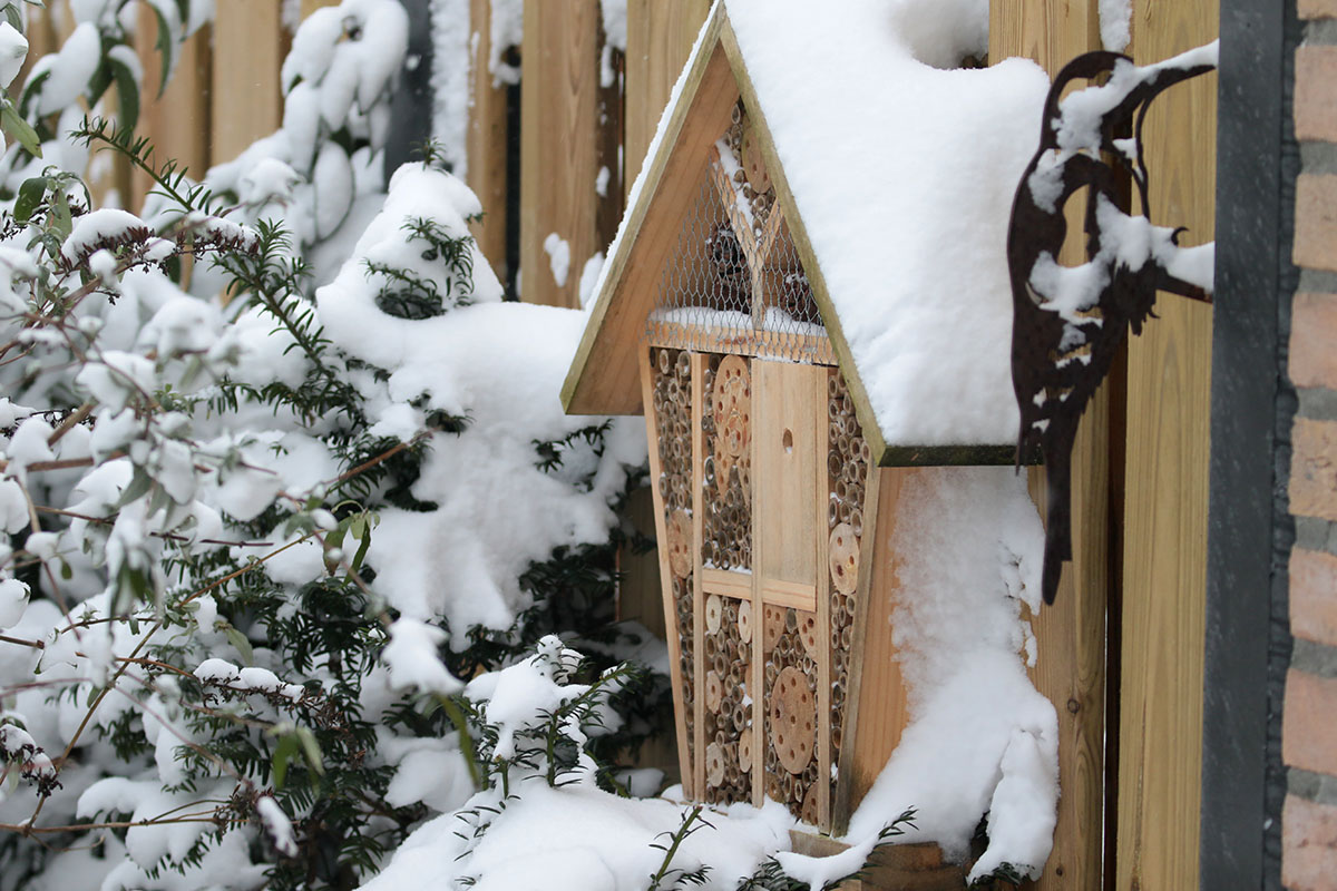 Insectenhotel in tuin van Hans en Gina Mom