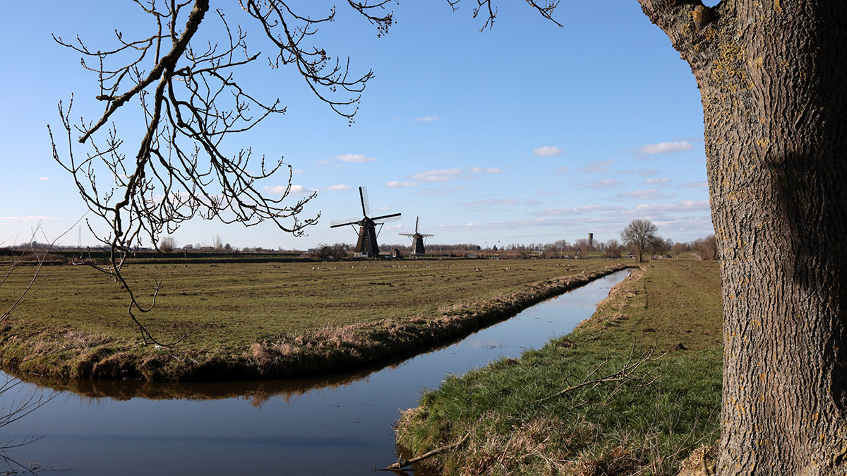 Wandelen langs de molens van Kinderdijk