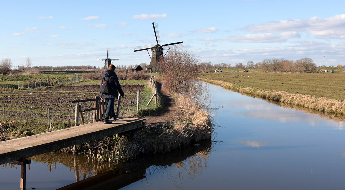 Wandelen langs de molens van Kinderdijk