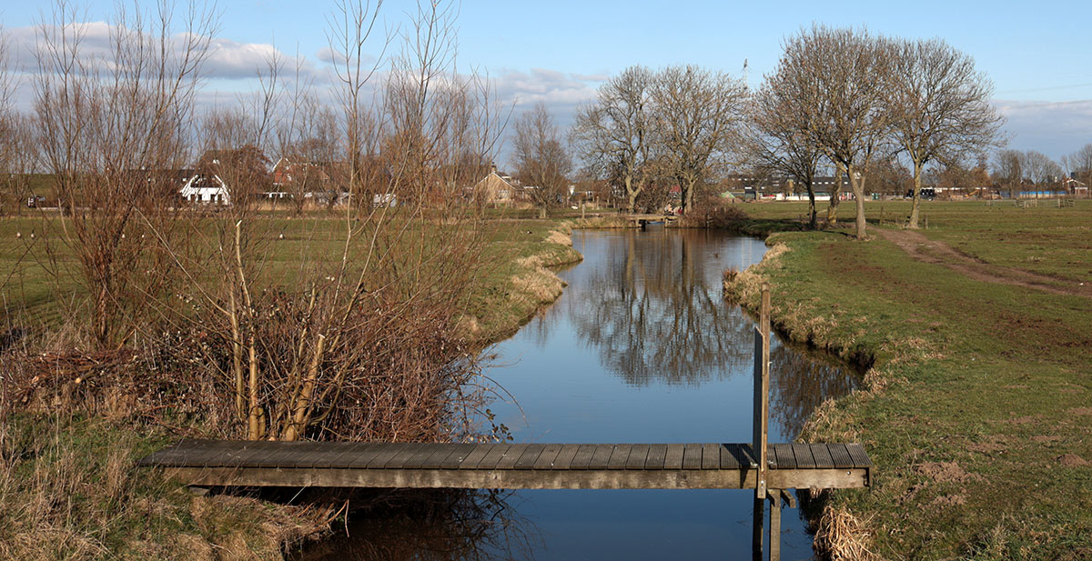 Wandelen langs de molens van Kinderdijk