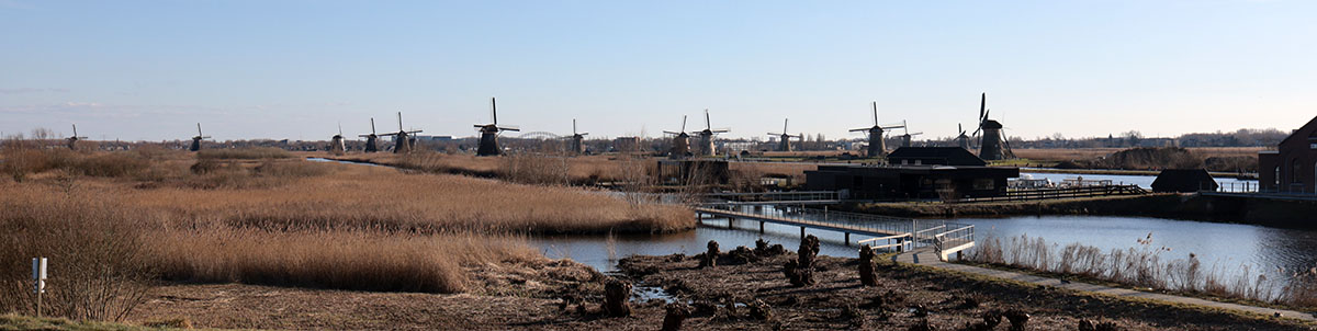 Wandelen langs de molens van Kinderdijk