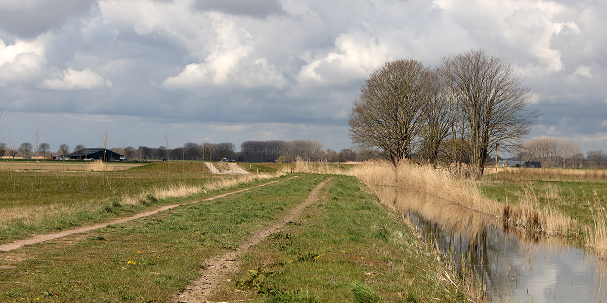 Nieuwe Dordtse Biesbosch 