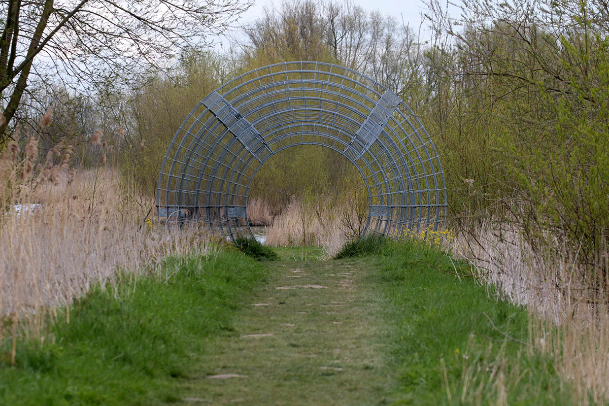 Brabantse Biesbosch