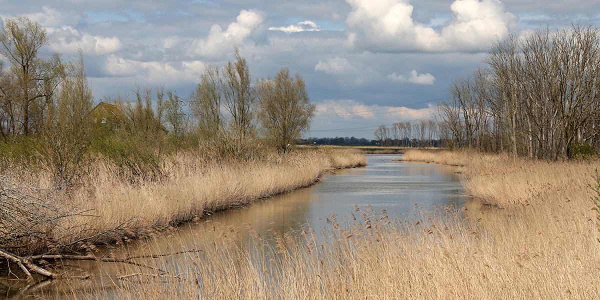 Brabantse Biesbosch