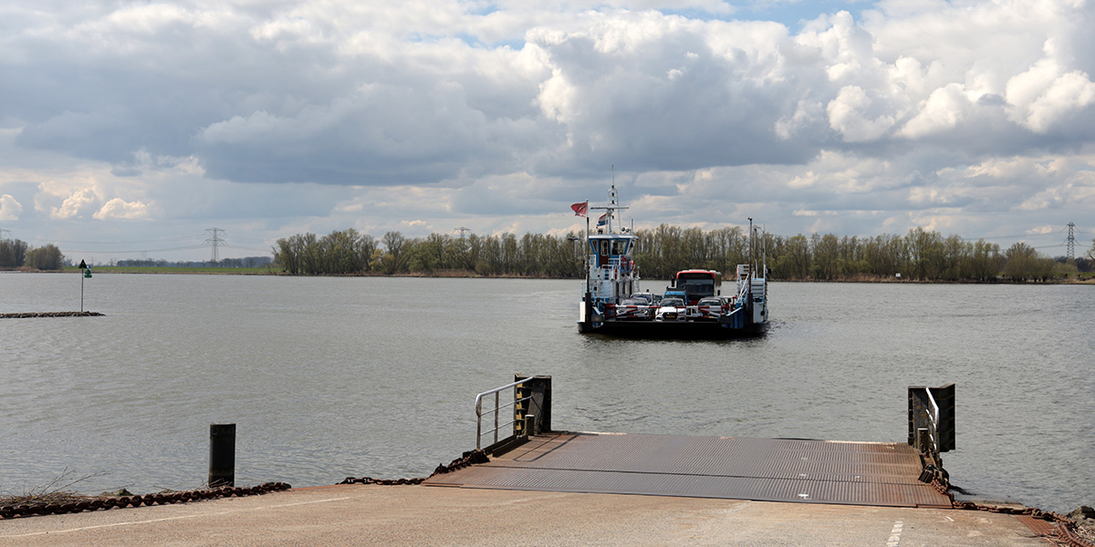 Brabantse Biesbosch