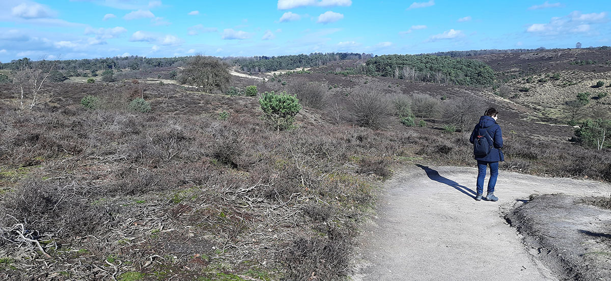 Herikhuizerveld