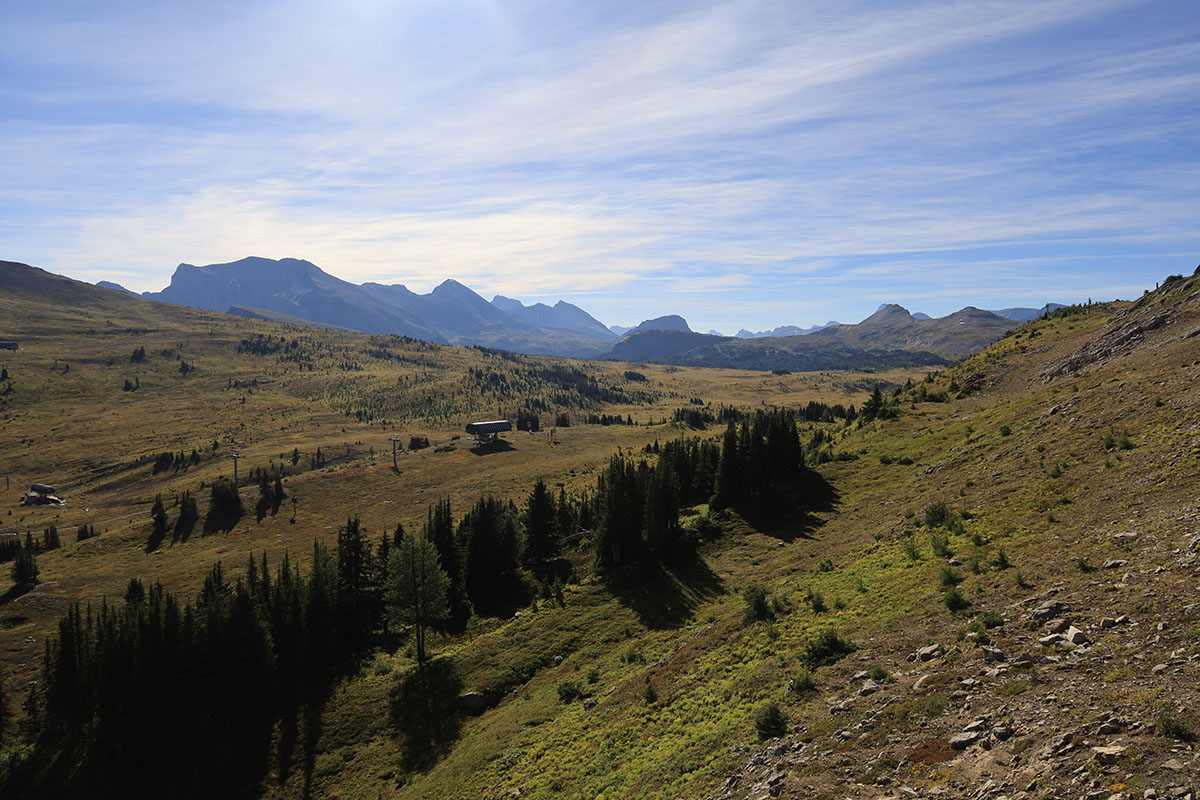 Sunshine Meadows