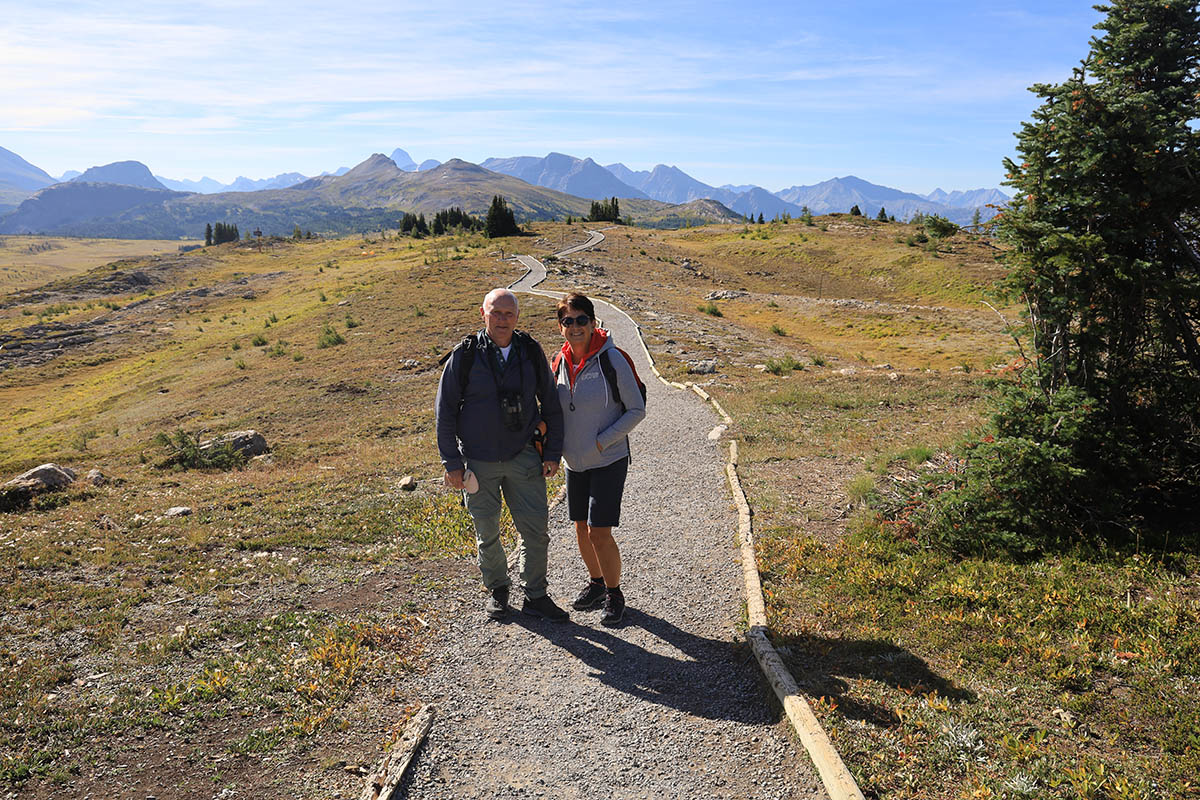 Sunshine Meadows