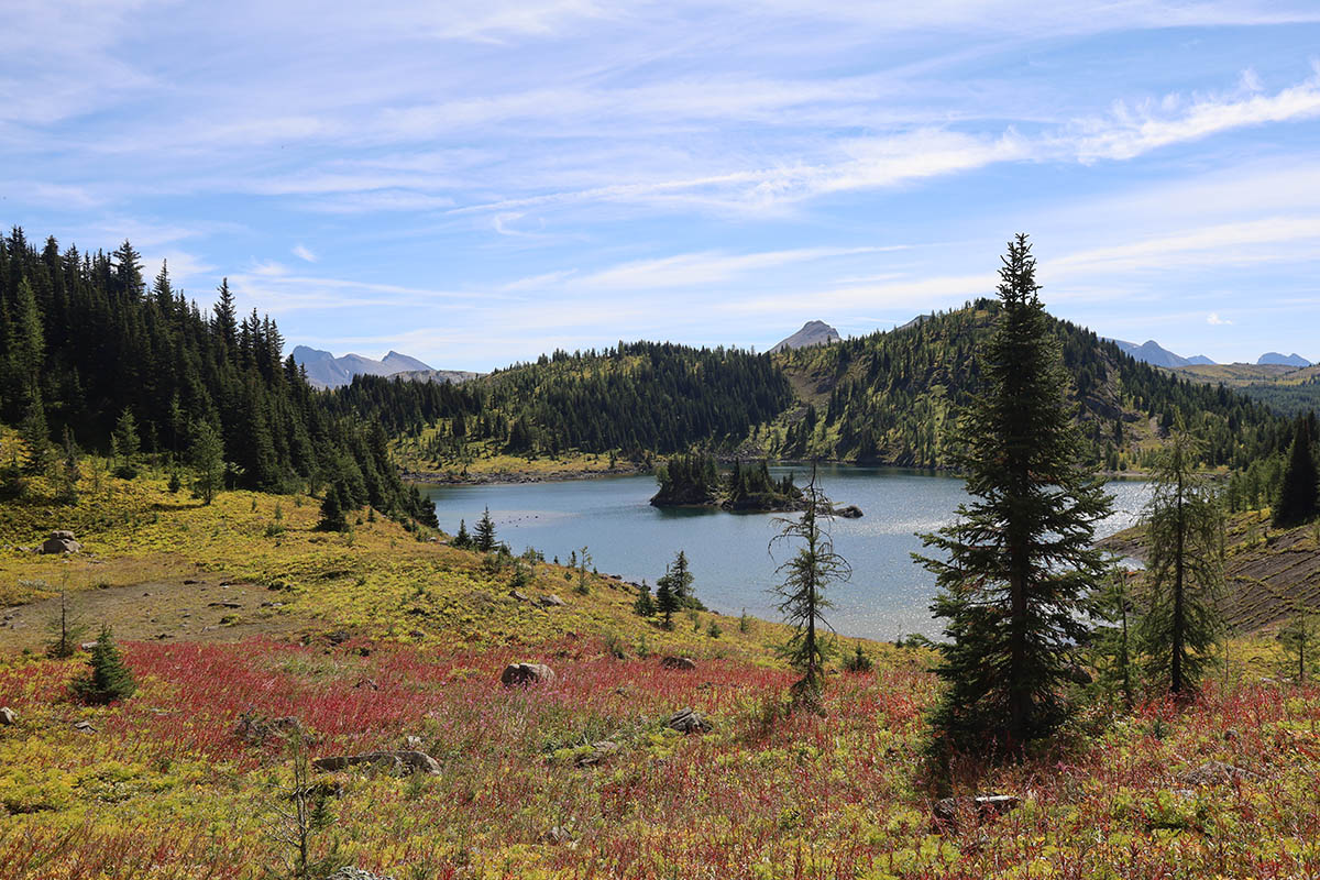 Sunshine Meadows