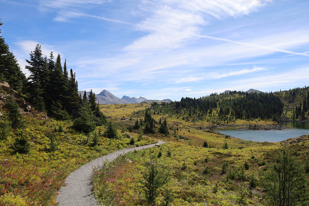 Sunshine Meadows