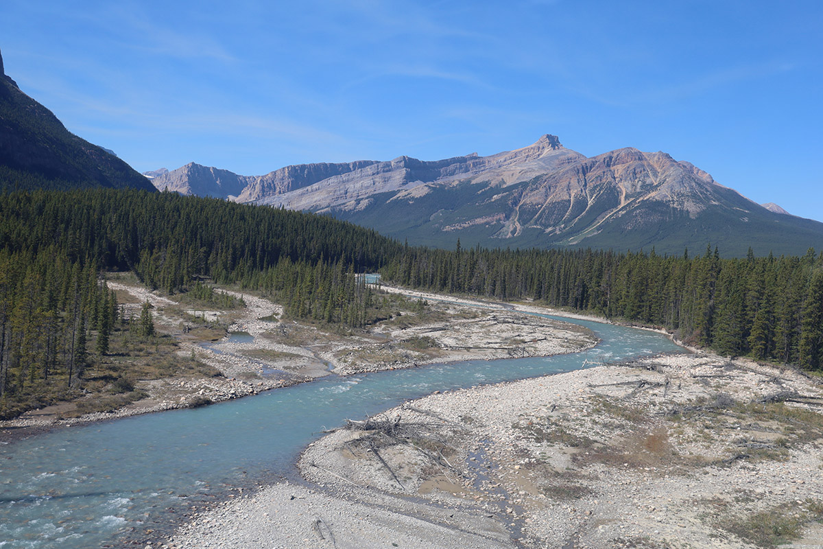 Heli Tour vanuit Cline River