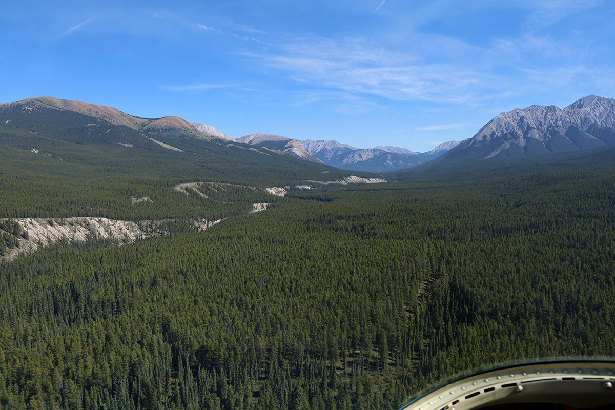 Heli Tour vanuit Cline River