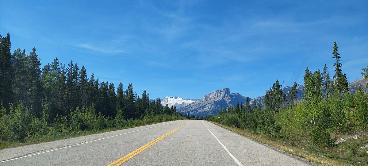 Highway 11, Alberta