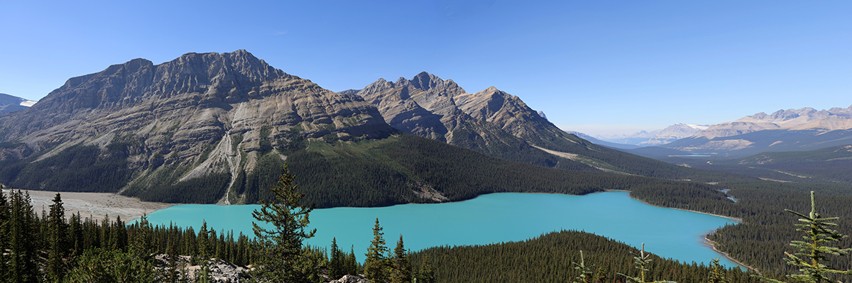 Lake Peyto