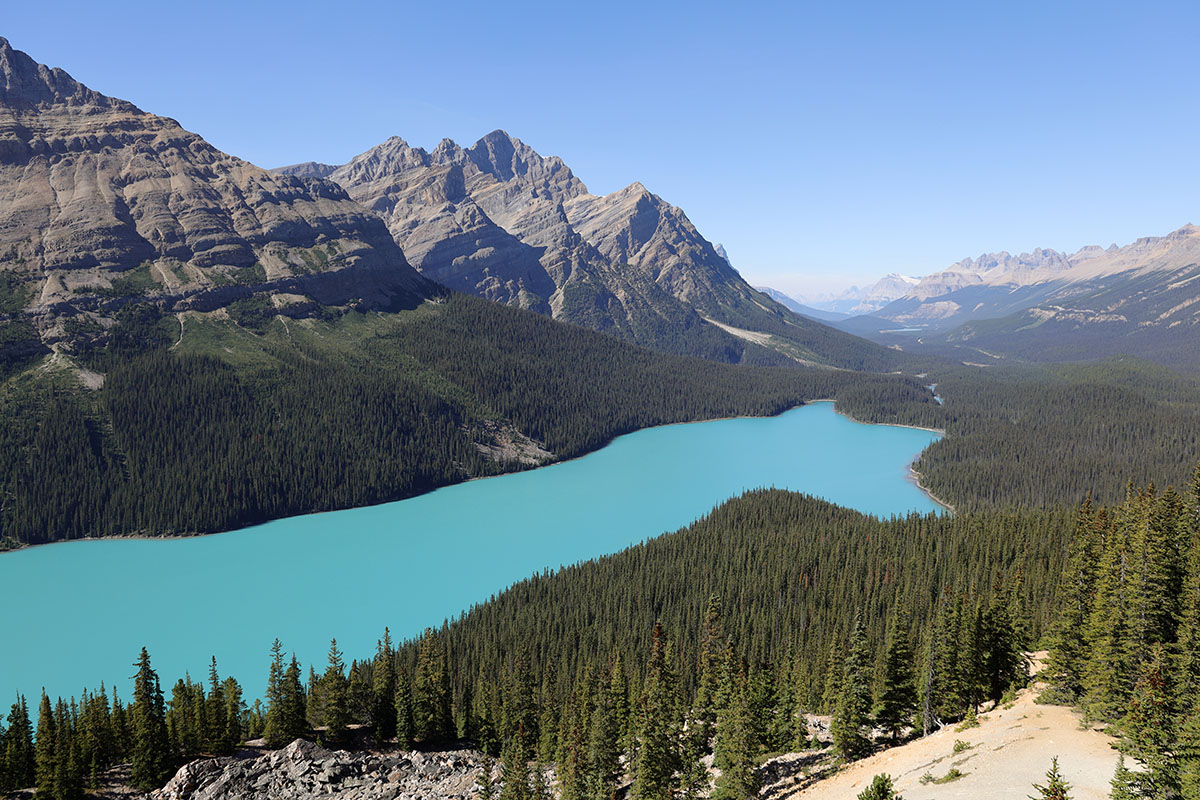 Lake Peyto