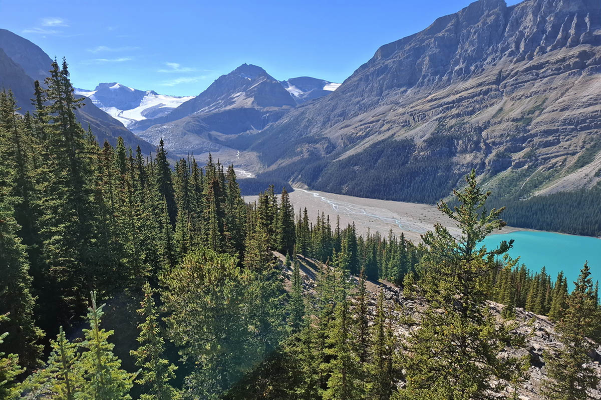 Lake Peyto