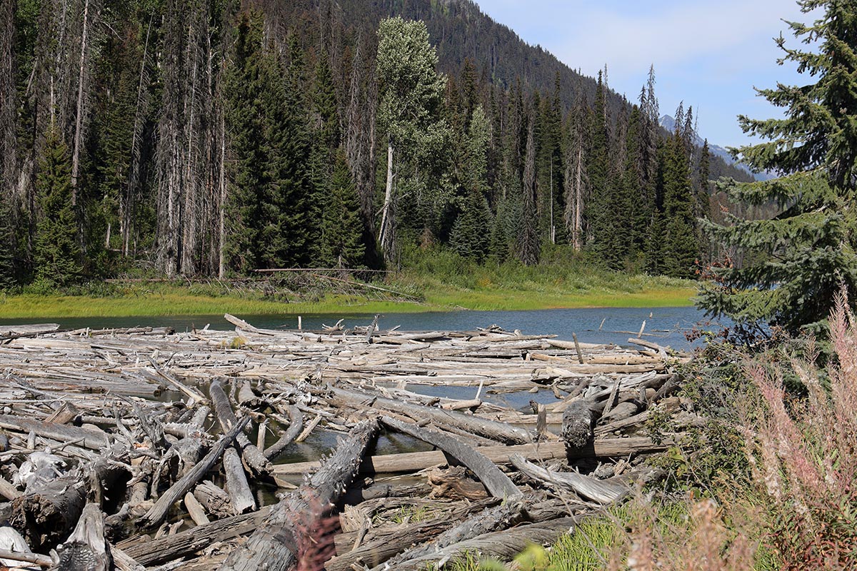 Duffy Lake