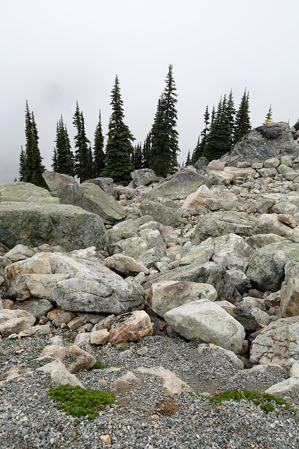 Blackcomb Mountain