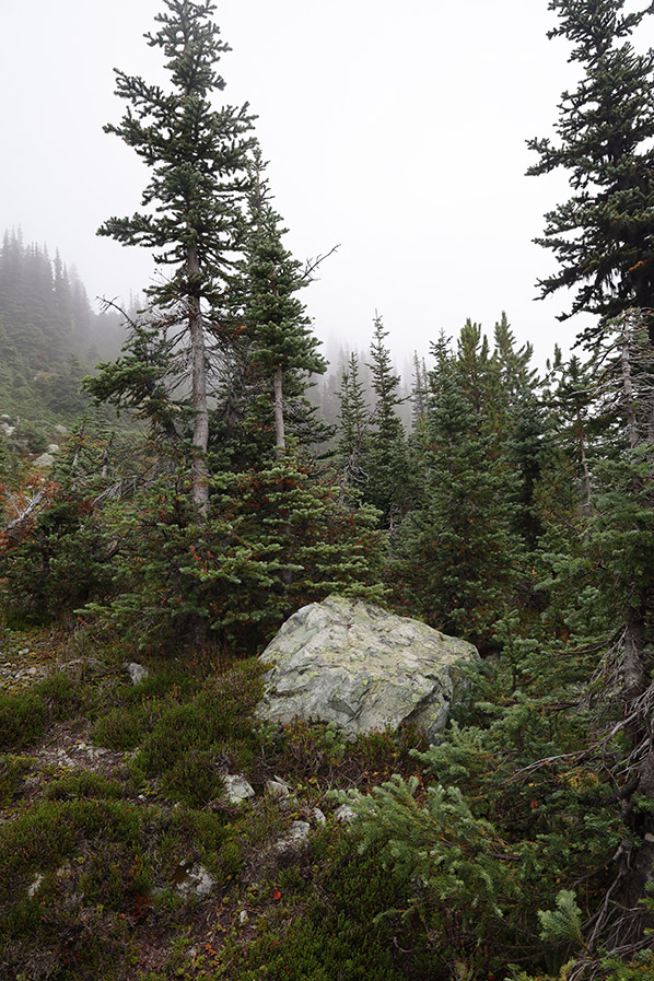 Blackcomb Mountain