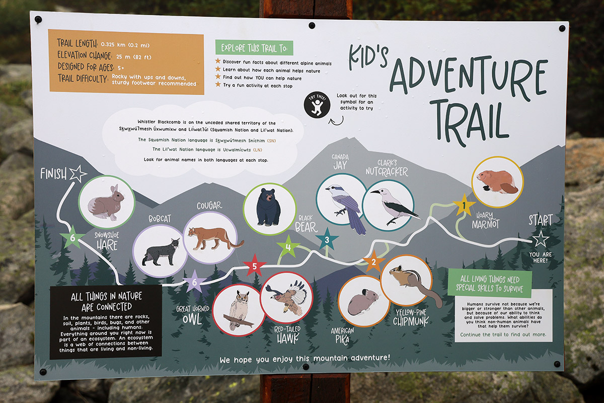 Kid's Adventure Trail