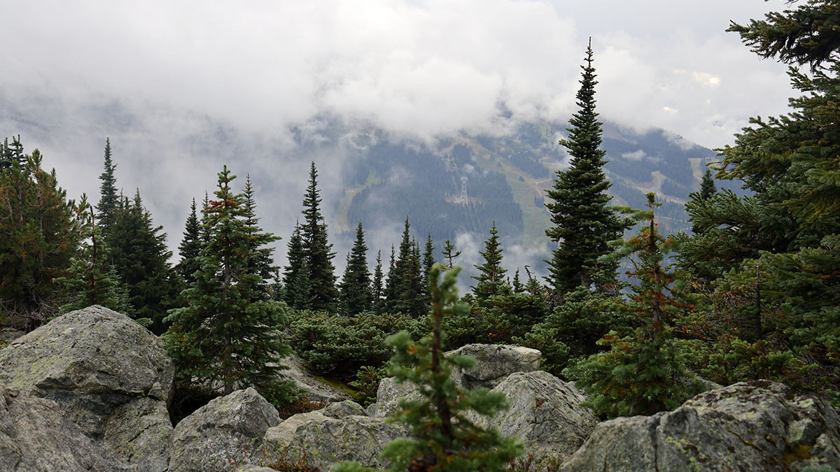 Blackcomb Mountain