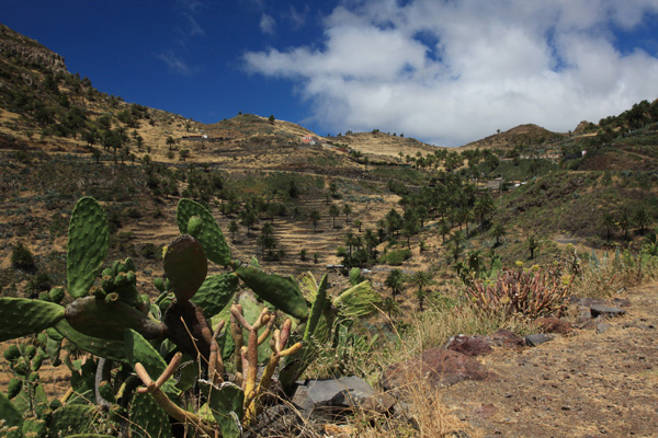 La Gomera