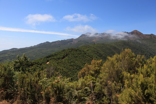 La Palma