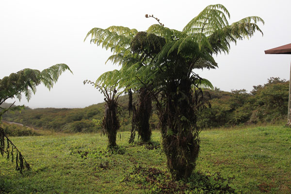 Landschap bij Sierra Negra