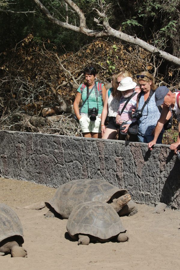 Gina Mom bij de schildpadden