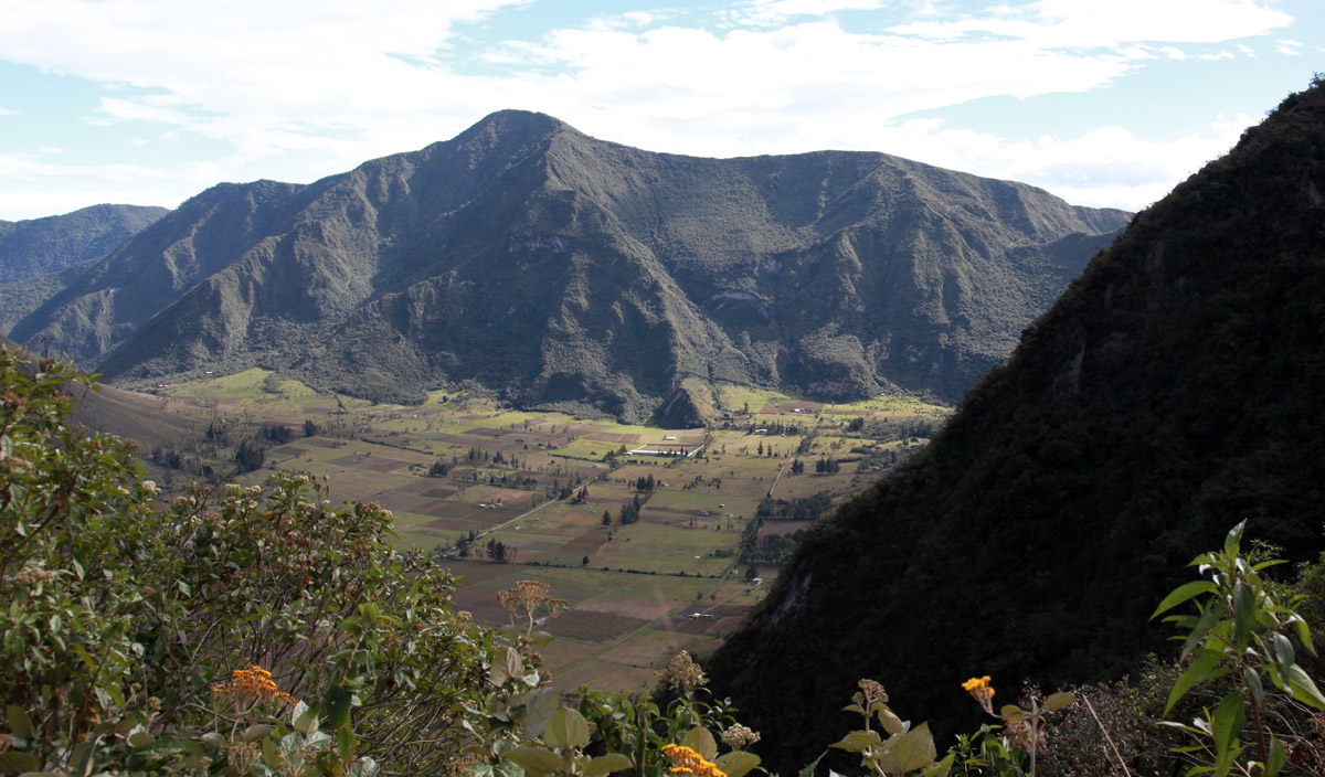 Puluhalua