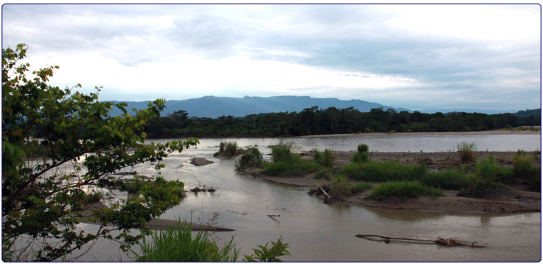 Jungle bij San Pedro Ecuador