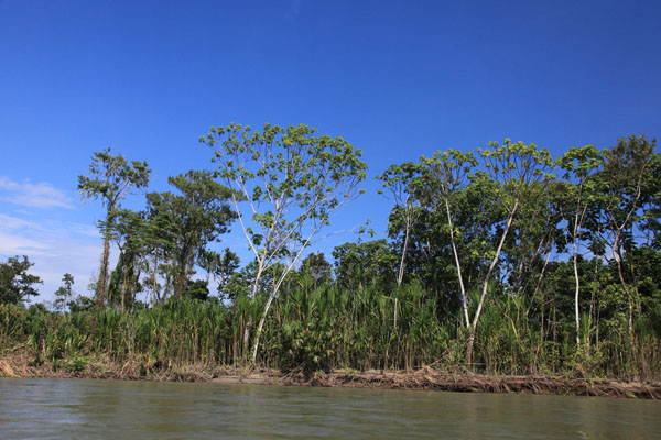 Rio Napo