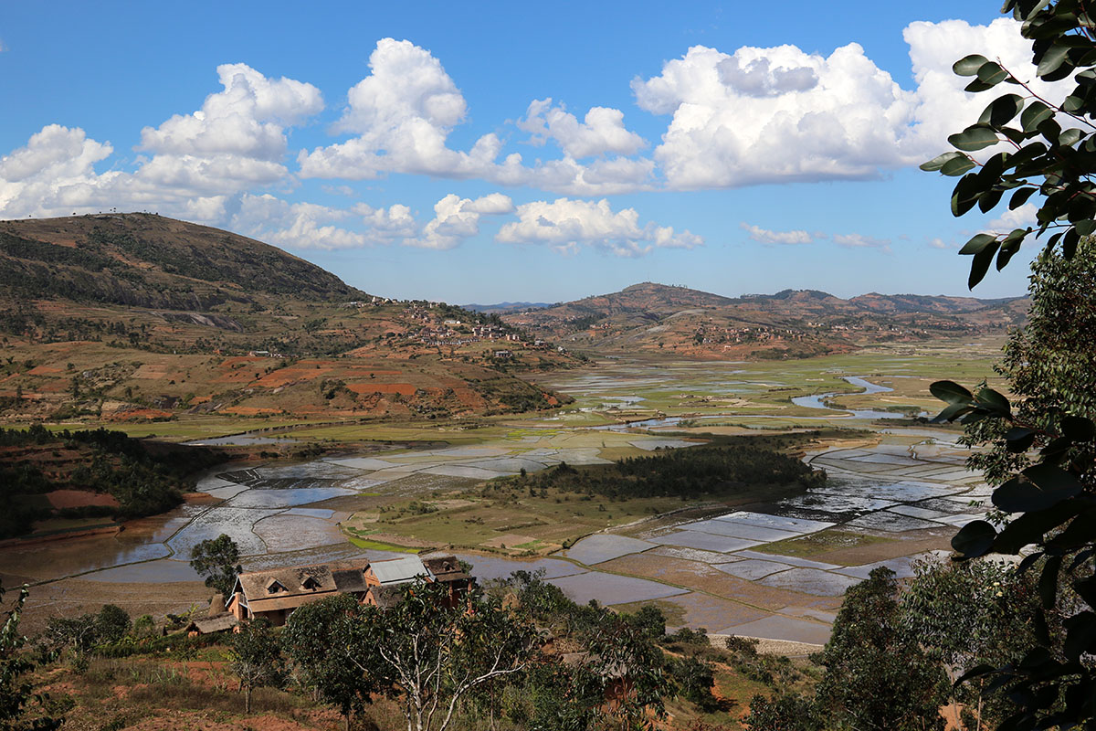 Rijstvelden langs de Matsiatrarivier - Madagascar