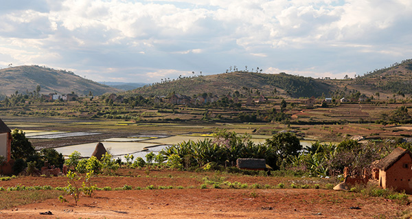 Landscape alongside the Matsiatrariver in Madagascar