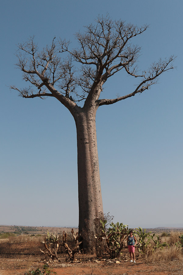 Gina Mom bij Baobab